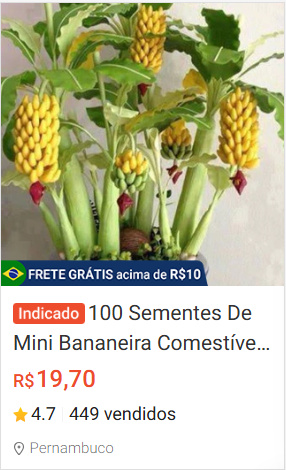100 sementes de mini bananas k9 pra muda