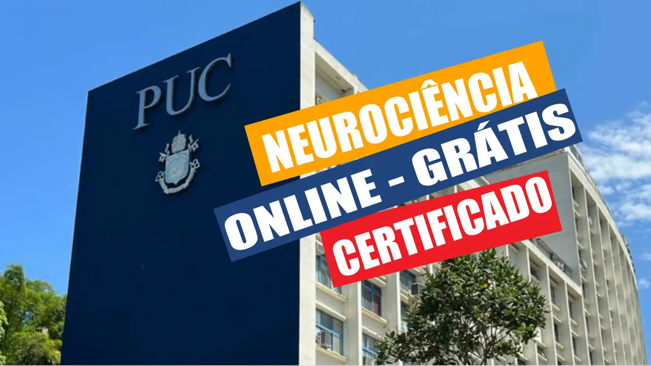 cursos - PUC - neurociência - cursos online - cursos gratuitos - ead