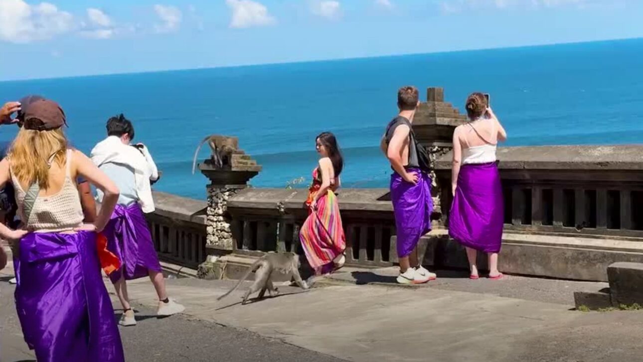 Macacos de Bali roubam iPhones e negociam devolução por frutas e biscoitos no templo Uluwatu. Descubra como funciona essa curiosa troca.