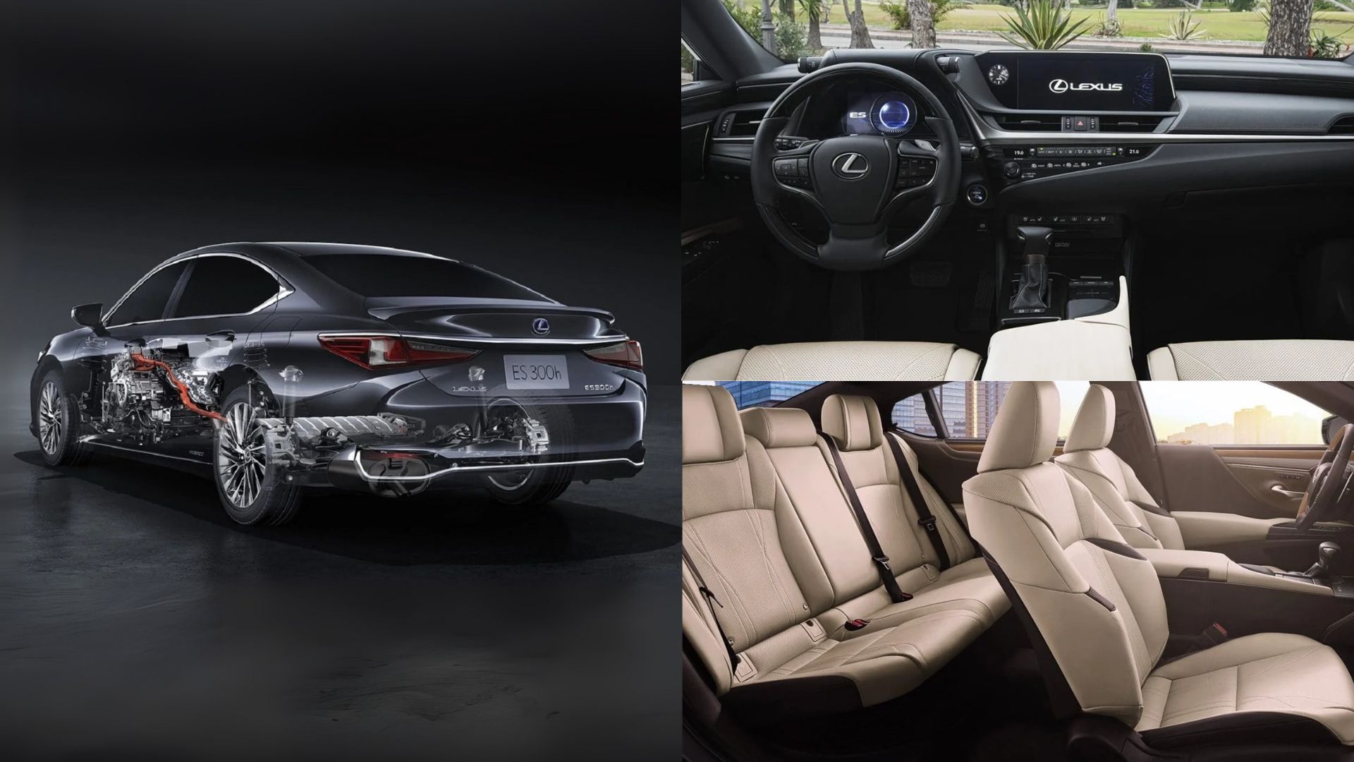 TST compra 30 Lexus ES300h híbridos de luxo, com 210 cv e consumo acima de 15 km/l, em aquisição que supera R$ 10 milhões.