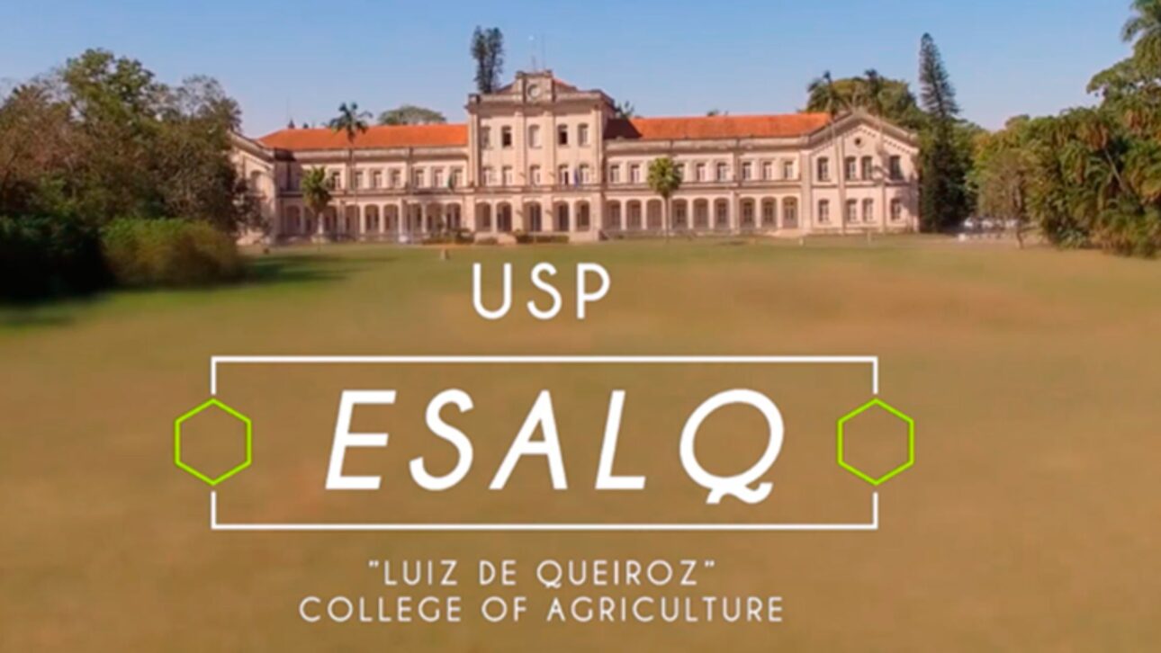 A história de Luiz de Queiroz e da ESALQ/USP revela como uma doação de terras moldou a ciência agrícola brasileira.