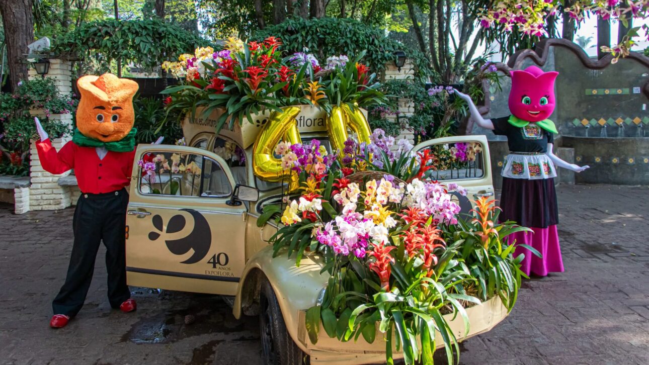 Arranjos florais decoram carro durante festividade, com mascote ao fundo na Expoflora.”
Crédito: Portal de Holambra