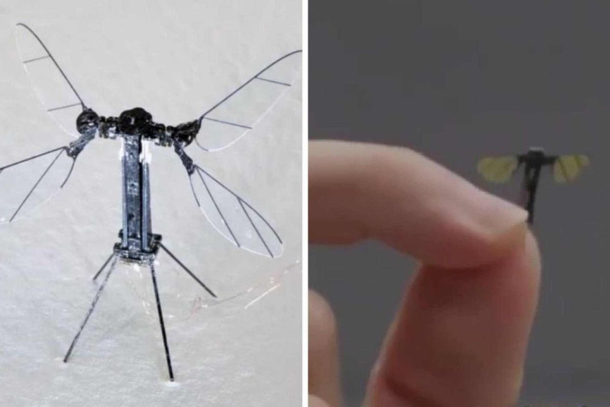Microdrones da China impressionam por medir poucos milímetros, mas carregam câmeras avançadas capazes de monitorar áreas inteiras sem detecção