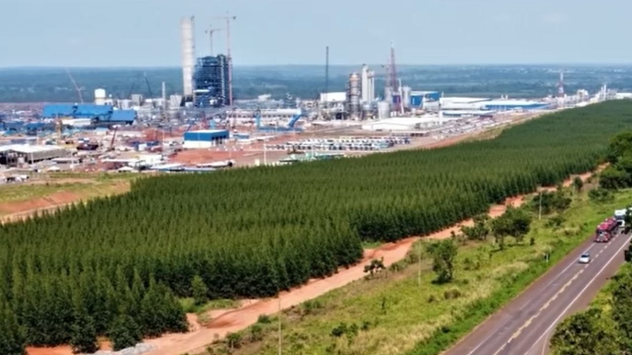 A 'dinastia da celulose' no Brasil soma R$ 17 bilhões com um império global, mas vive discretamente e blinda a sucessão da família em São Paulo