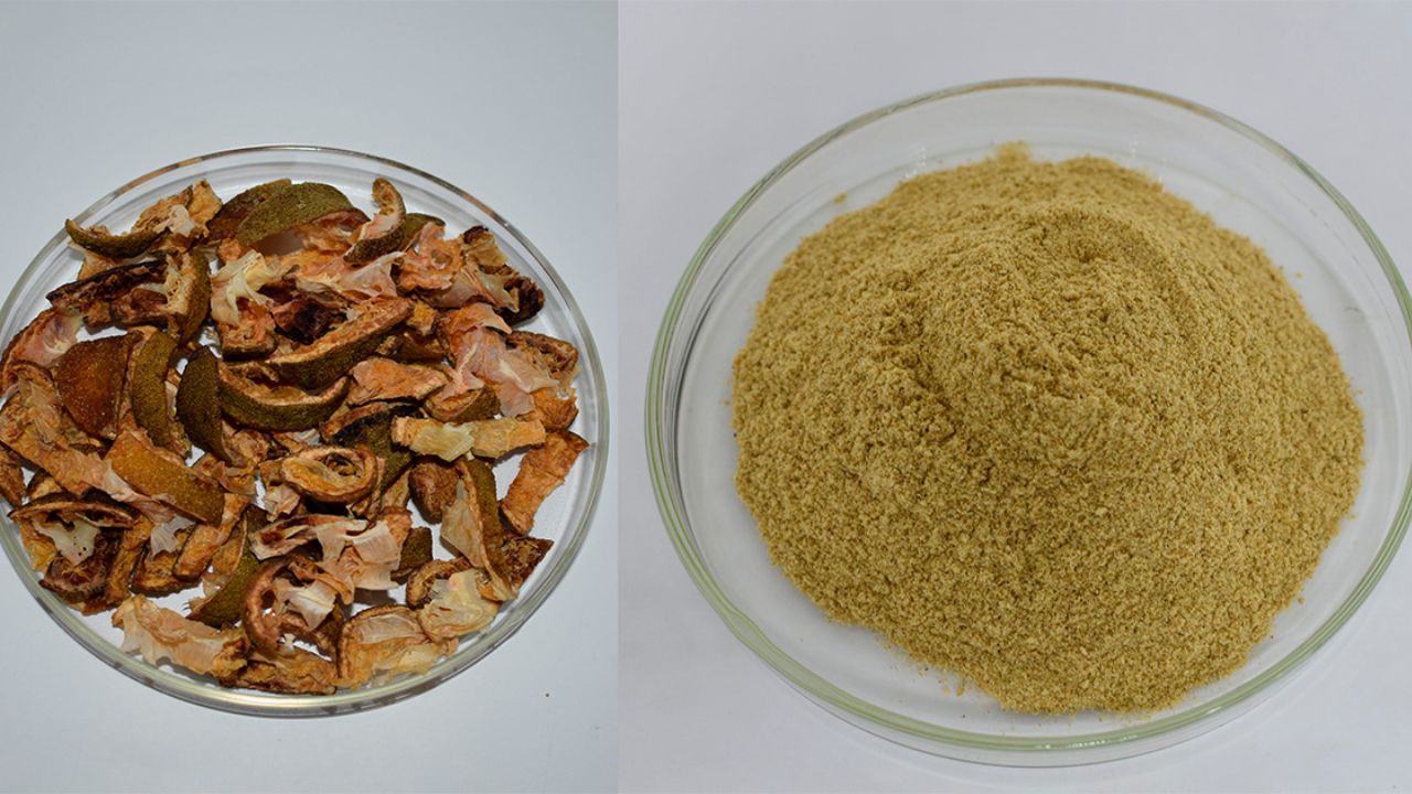 o pó do subproduto de suco de laranja que pode transformar o futuro das embalagens.