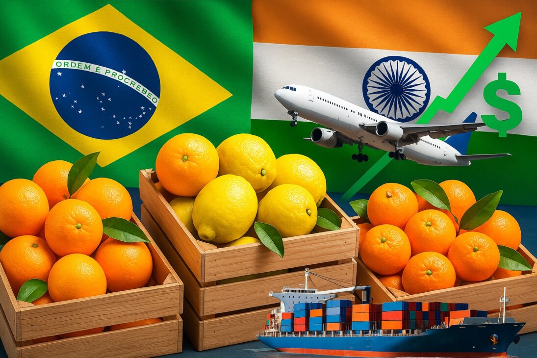 Brasil conquista acesso inédito a um novo mercado em 2025: Índia abre mercado para laranjas, limões e tangerinas nacionais — exportações podem render milhões no maior país consumidor do planeta