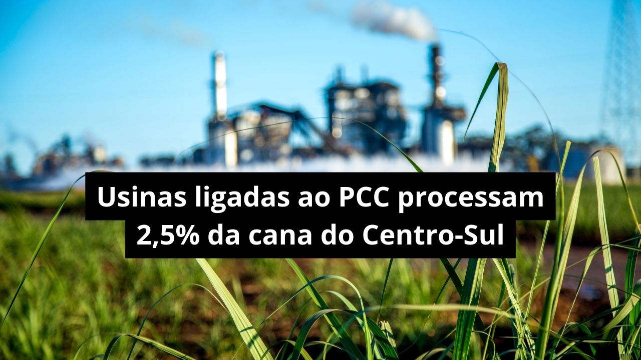 Usinas ligadas ao PCC processam 2,5% da cana do Centro-Sul, aponta MP-SP; investigações podem impactar produção de etanol e açúcar.