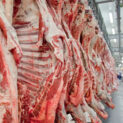 Carne bovina, Carne, Brasil, EUA, Tarifas