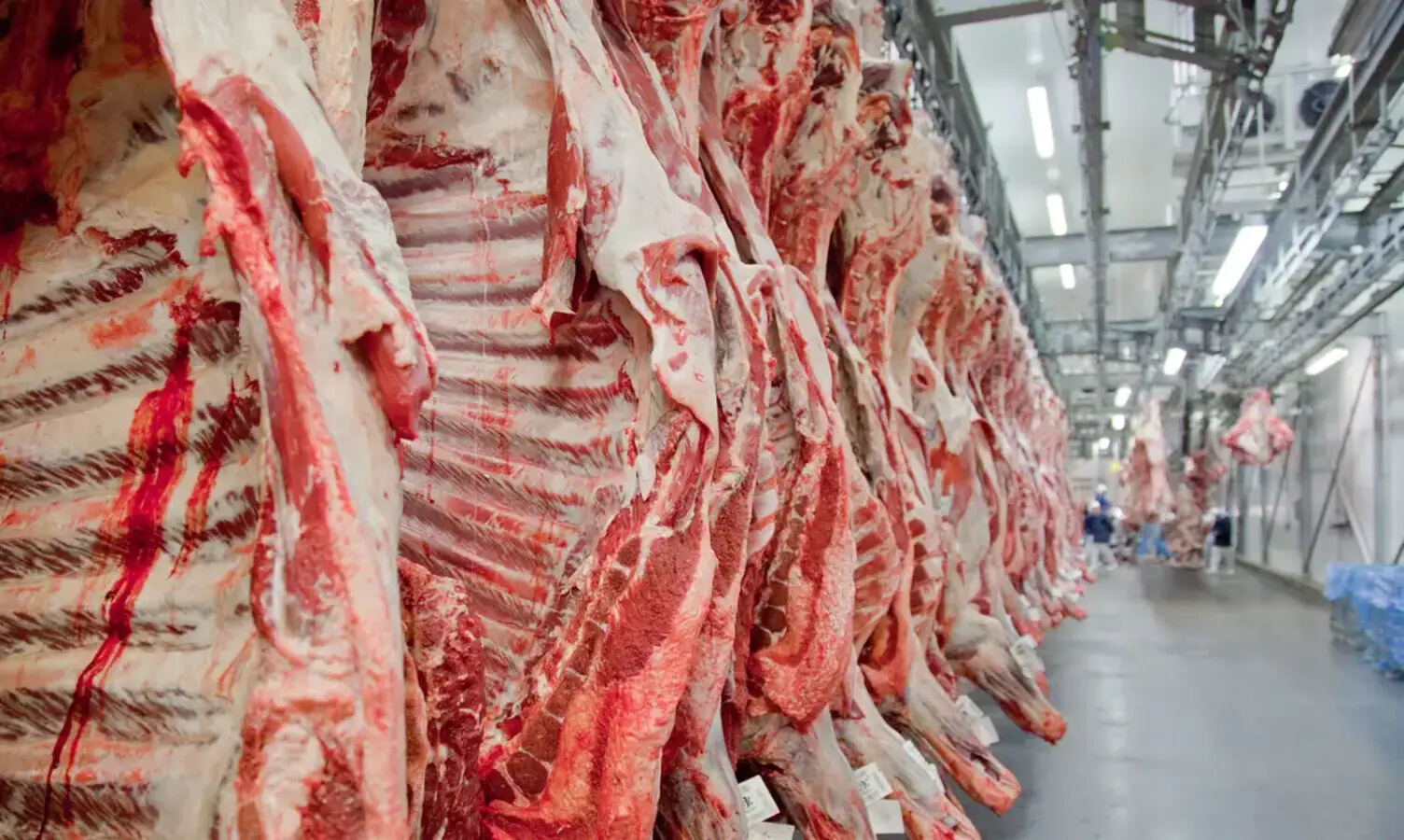 Carne bovina, Carne, Brasil, EUA, Tarifas