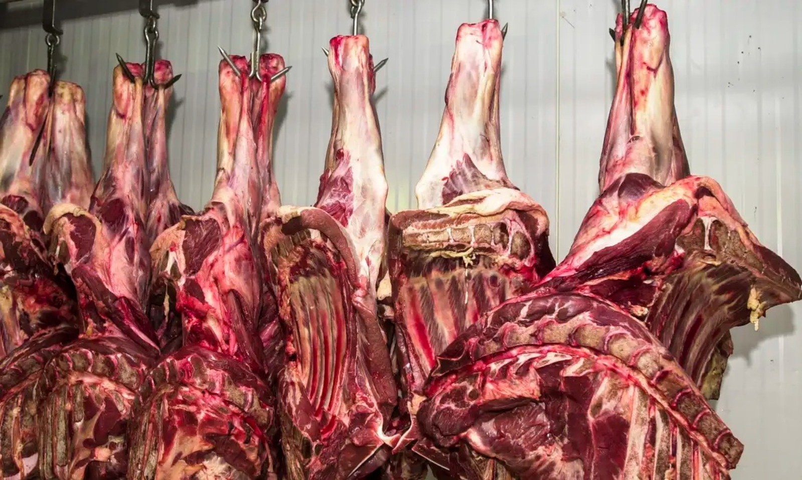 Carne bovina, Frigoríficos, Marfrig, Minerva