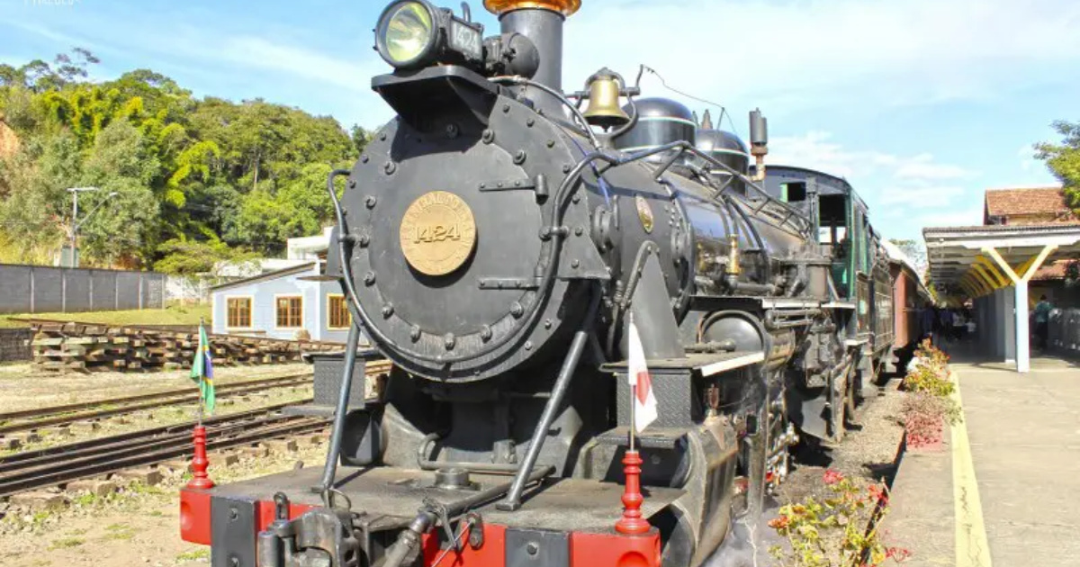 Explore viagens sobre trilhos no Brasil com maria-fumaça histórica, passeios por vinícolas, túneis na mata e roteiros ferroviários imperdíveis. (Foto: vidasemparedes)