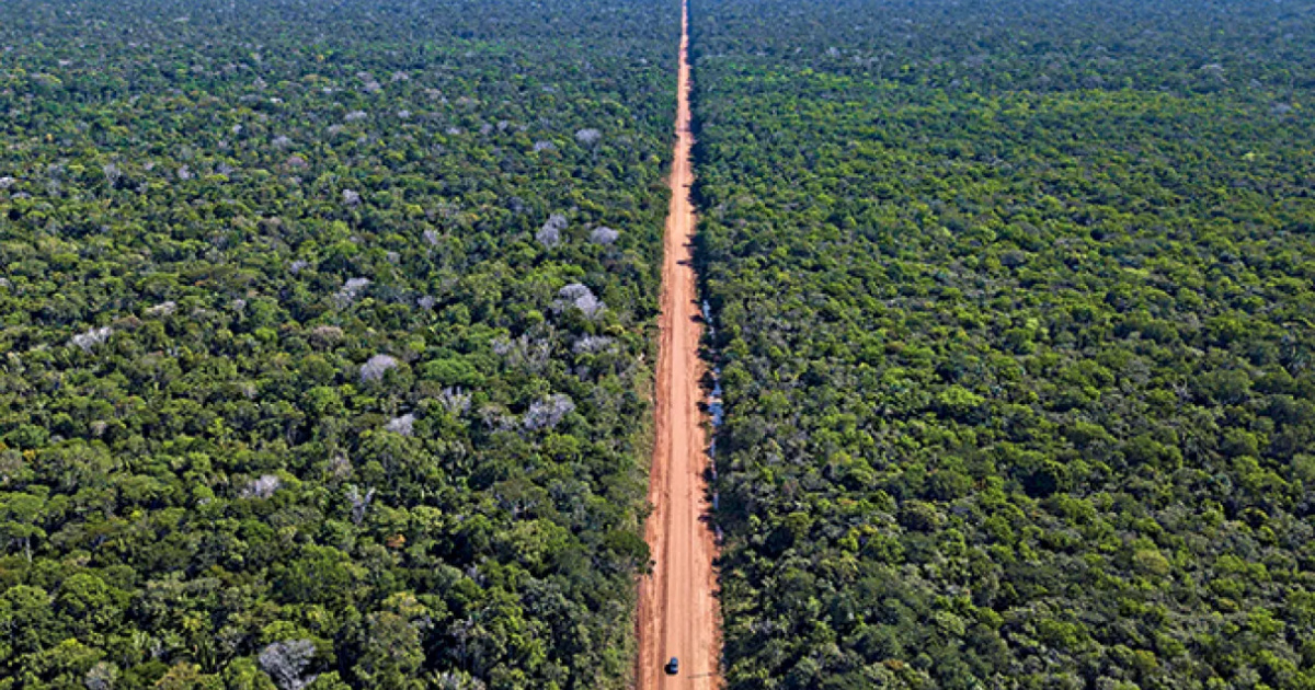 Descubra por que a BR-319, principal rodovia da Amazônia, nunca foi pavimentada de verdade e como isso afeta a região e o Brasil.
