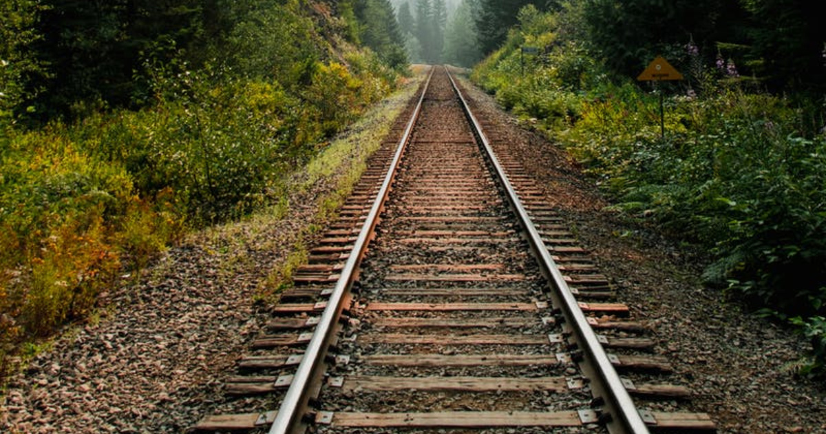 Setor ferroviário brasileiro vive expansão inédita com PPPs, reativação de fábricas e projetos bilionários. Novos investimentos impulsionam a mobilidade.( Foto: wasaki)