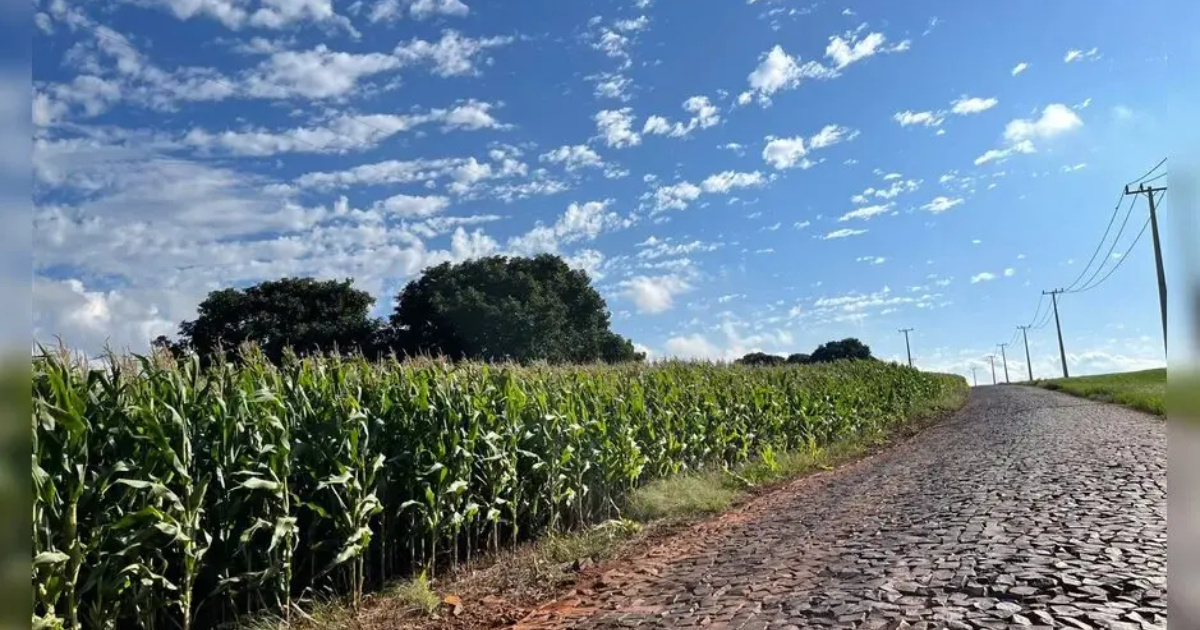 Estrada do Araguari será asfaltada e pode virar rota alternativa entre Arapongas e Londrina, desviando do pedágio. Entenda as mudanças. (Foto: Cindy Santos/TNOnline)