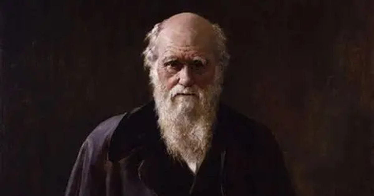 Descubra as manias de Einstein, Woolf e Darwin que a psicologia associa à criatividade e inteligência elevada.