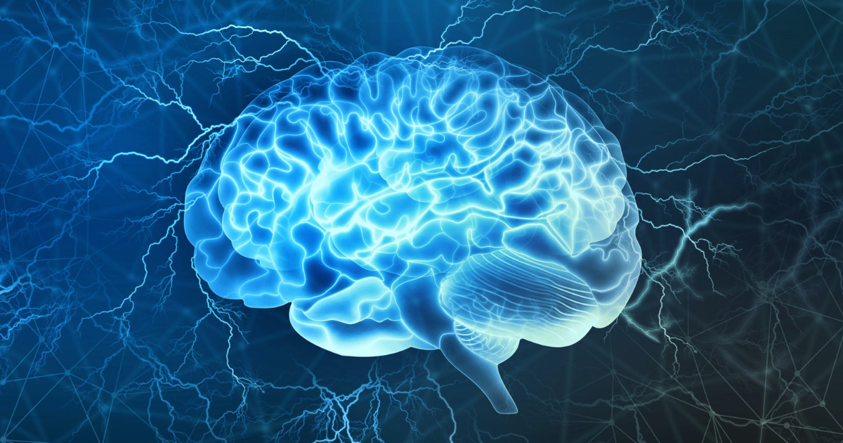IFRJ abre 20 vagas para especialização gratuita em Neuroeducação. Curso presencial de 18 meses une ciência e práticas pedagógicas. (Foto: mararaboni)