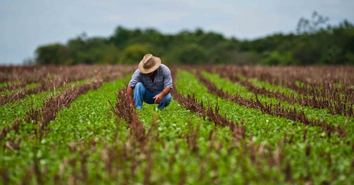 Rubens Ometto enfrenta crise na Cosan e Raízen, com dívidas bilionárias, desinvestimentos e ajustes que desafiam seu império agrícola.