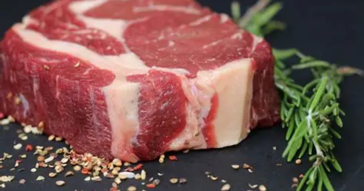 Nova rota marítima entre Ceará e Ásia aumenta exportações de carne bovina em 48% e movimenta mais de 32 mil contêineres.