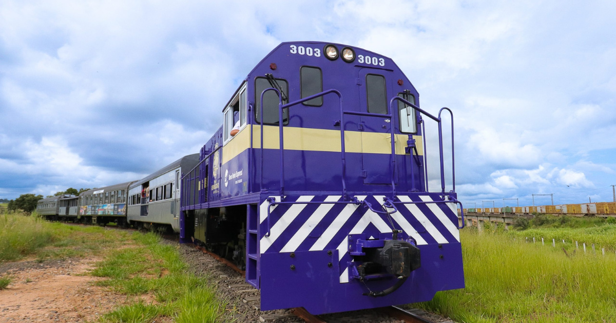 Explore viagens sobre trilhos no Brasil com maria-fumaça histórica, passeios por vinícolas, túneis na mata e roteiros ferroviários imperdíveis. (Foto: Divulgação)