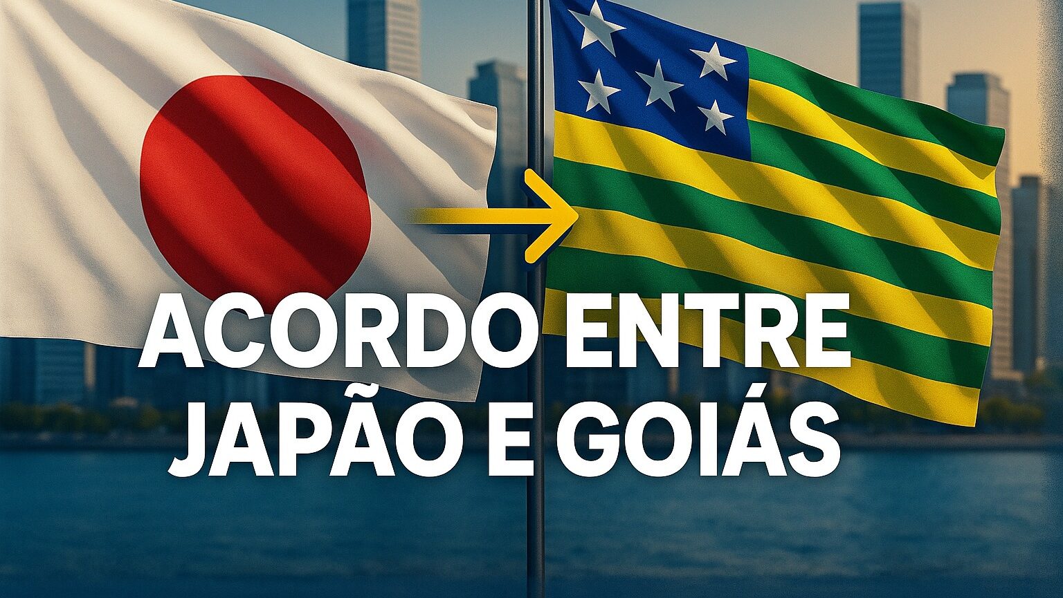 Goiás, Terras raras, Japão