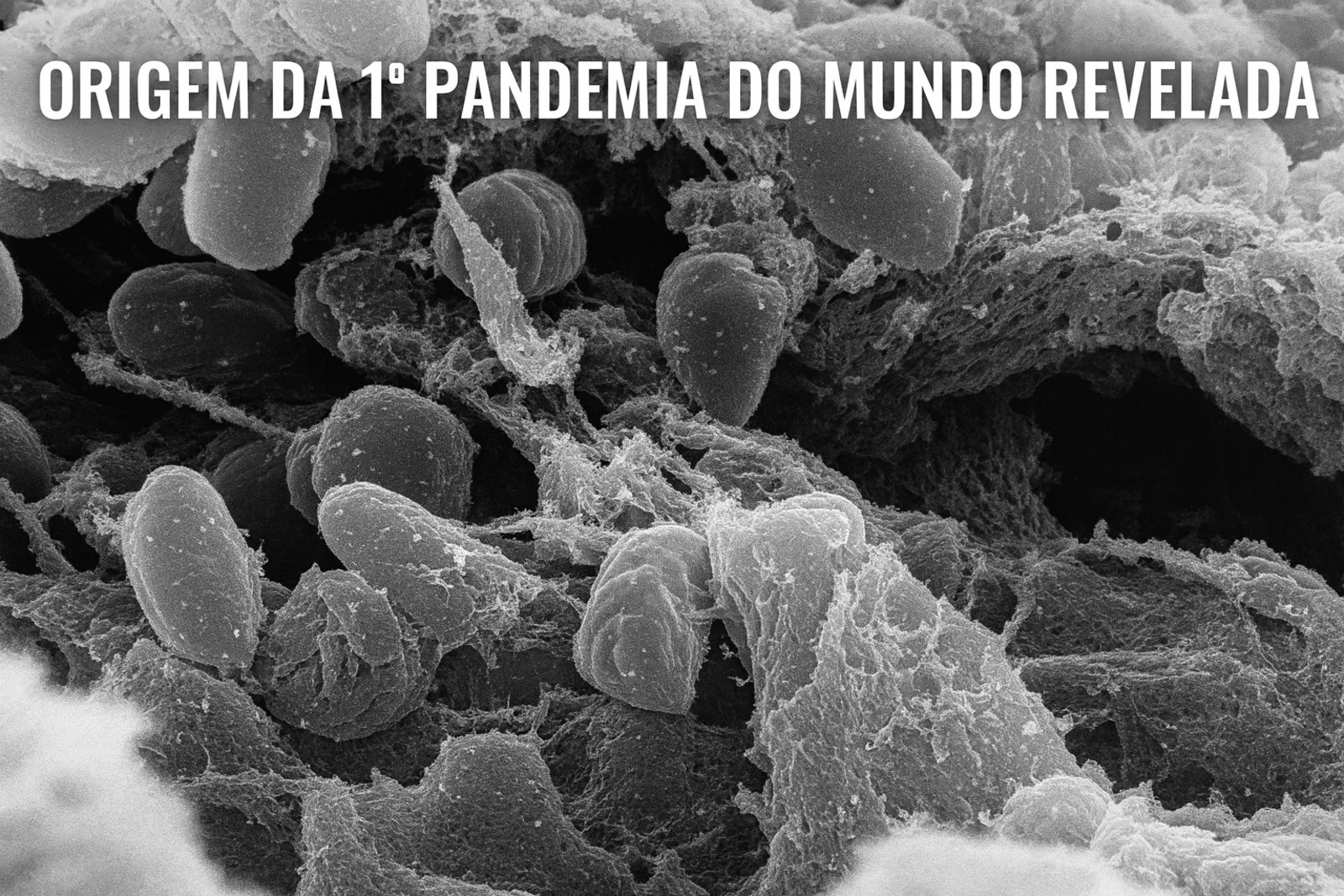 Origem da primeira pandemia do mundo é revelada
