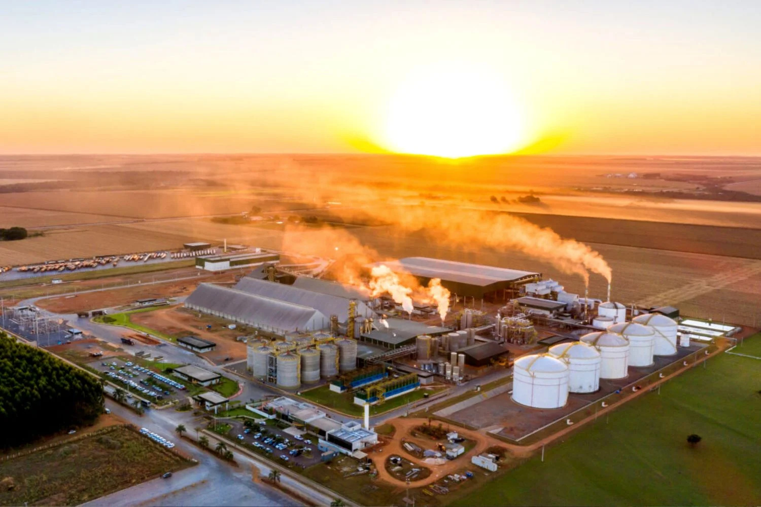 O Grupo Potencial investirá R$2 bi em usina de etanol de milho no Paraná. Saiba mais do projeto da empresa.