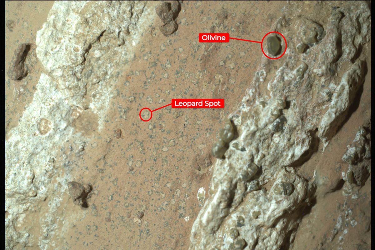 NASA anuncia descoberta em Marte, mas cortes de 50% no orçamento ameaçam trazer provas da possível vida extraterrestre