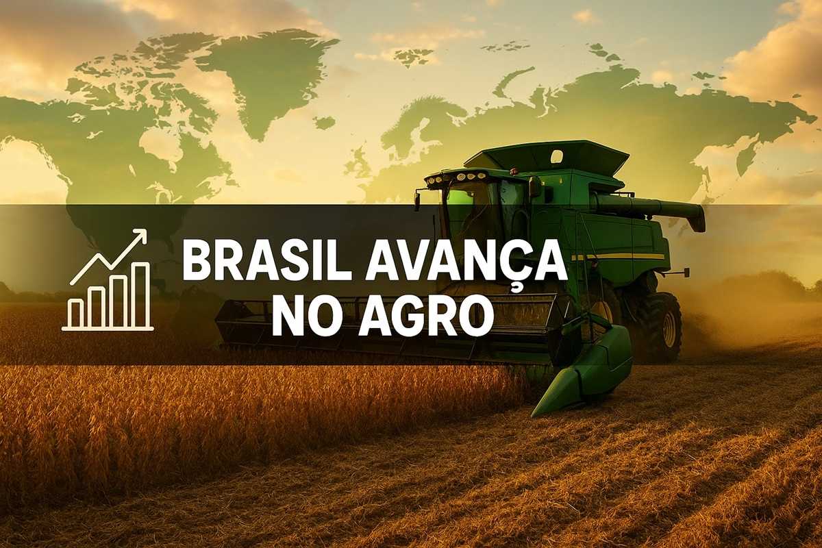Indonésia, Paraguai e Argentina abriram espaço para produtos do agronegócio brasileiro, fortalecendo exportações de carne bovina, chia e derivados suínos.