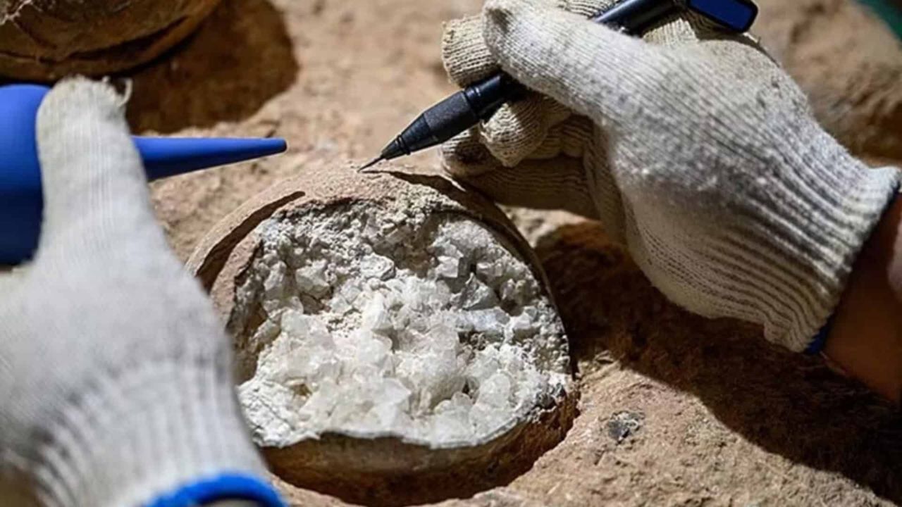 Cientistas acharam cristais dentro de ovos de dinossauros com cerca de 85 milhões de anos, datados por método U-Pb. A descoberta no sítio Qinglongshan, China, ajuda a compreender o clima do Cretáceo.