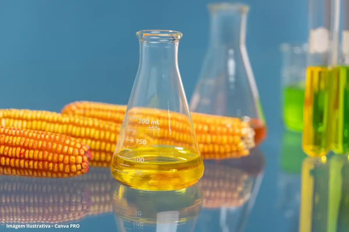 Etanol de milho em laboratório com espigas ao fundo, simbolizando a produção de biocombustível no Brasil