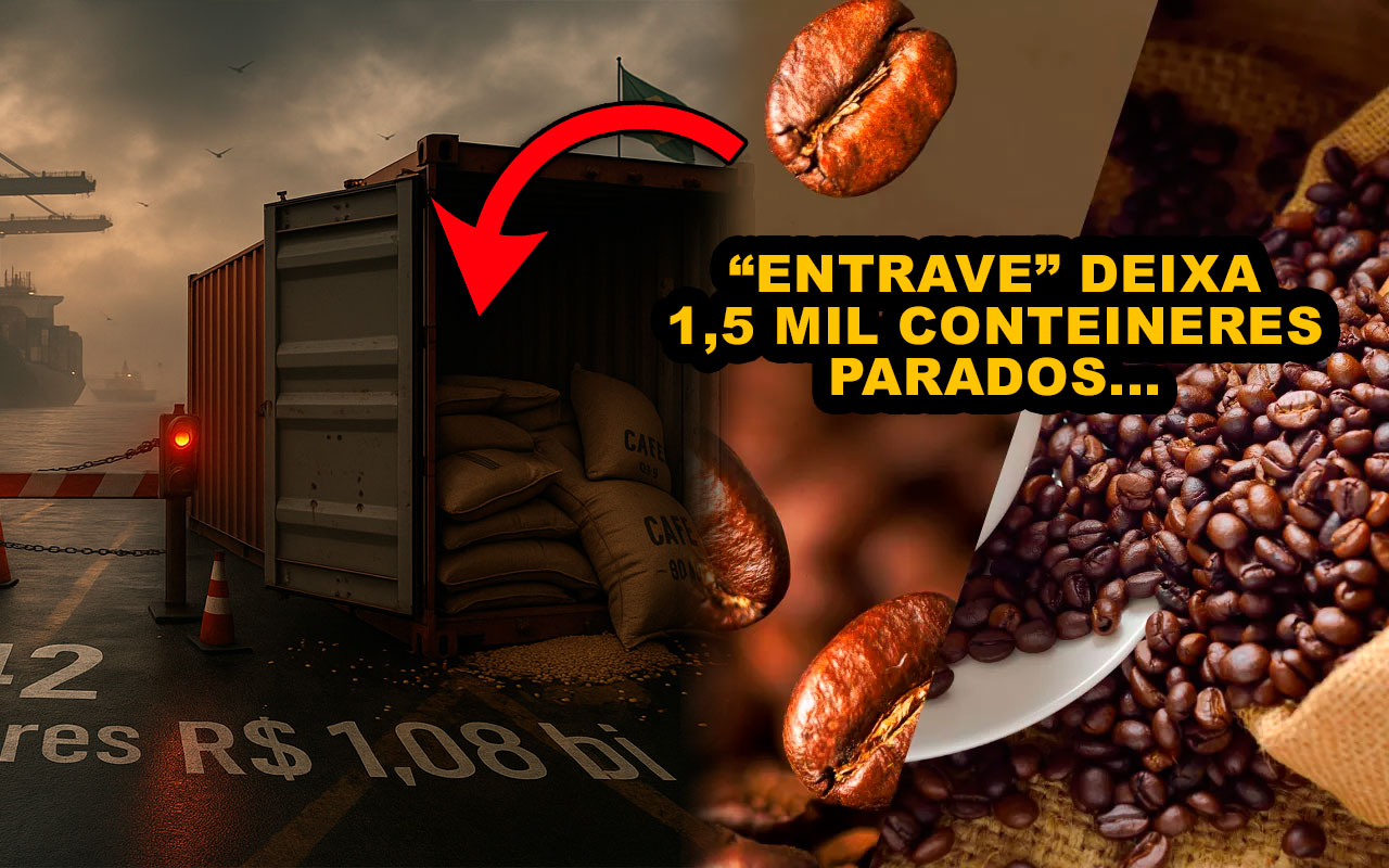Entrave deixa mais de 1,5 mil contêineres de café encalhados em portos e tiram R$ 1,084 bilhão do Brasil em julho