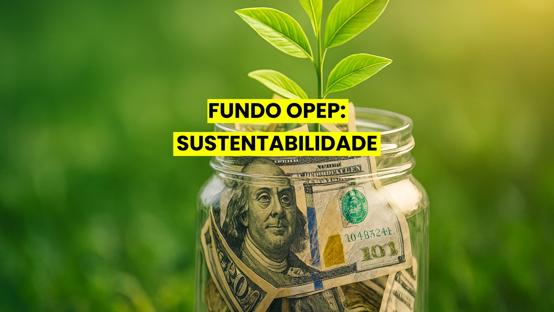 Pote de vidro cheio de dólares com uma planta verde crescendo entre as notas, sobre fundo natural desfocado.