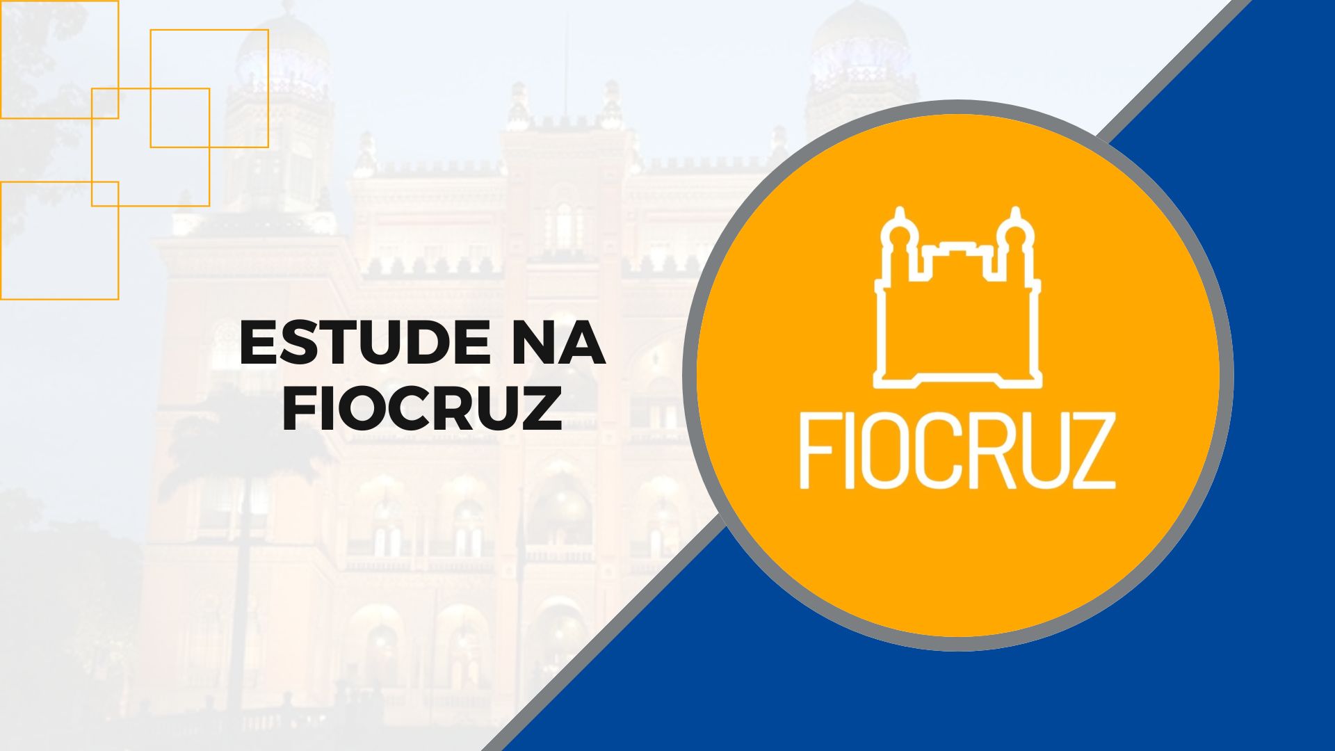 Fiocruz abre 85 vagas em mestrados gratuitos para 2026 em saúde pública, meio ambiente e epidemiologia. Inscrições até 15 de setembro.