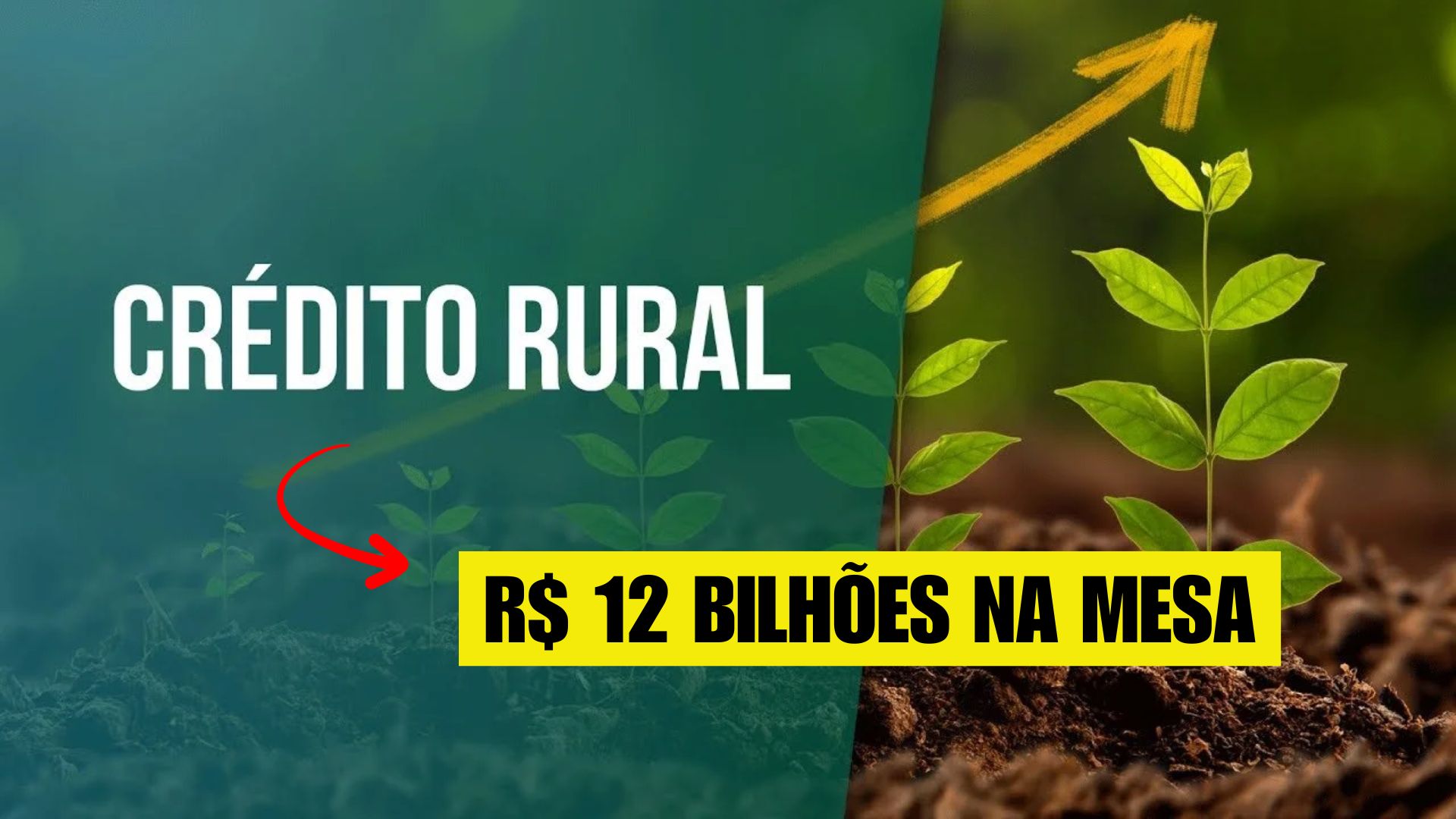 Governo libera R$ 12 bilhões para renegociação de dívidas rurais com até 9 anos para pagar e juros reduzidos.