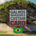 STJ mantém multa de R$ 10 milhões a herdeiros por descumprir ordem de poda na Lagoa Rodrigo de Freitas após 40 anos de disputa.