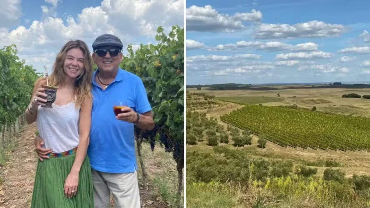 Aos 75 anos, Galvão Bueno se destaca no agronegócio com a Bellavista Estate, unindo vinhos premiados e tradição no esporte.