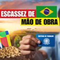 Escassez de mão de obra atinge Norte e Nordeste. Construção civil enfrenta recusas por Bolsa Família e debate proposta de flexibilização.