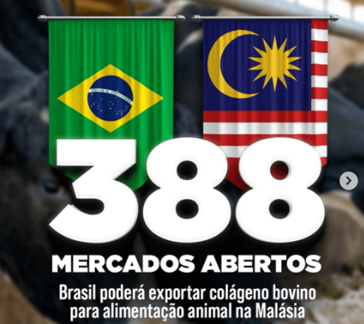 Brasil conquista abertura de mercado na Argentina, Paraguai e Indonésia, com exportações de ovos em pó, frutas, chia e carne bovina.