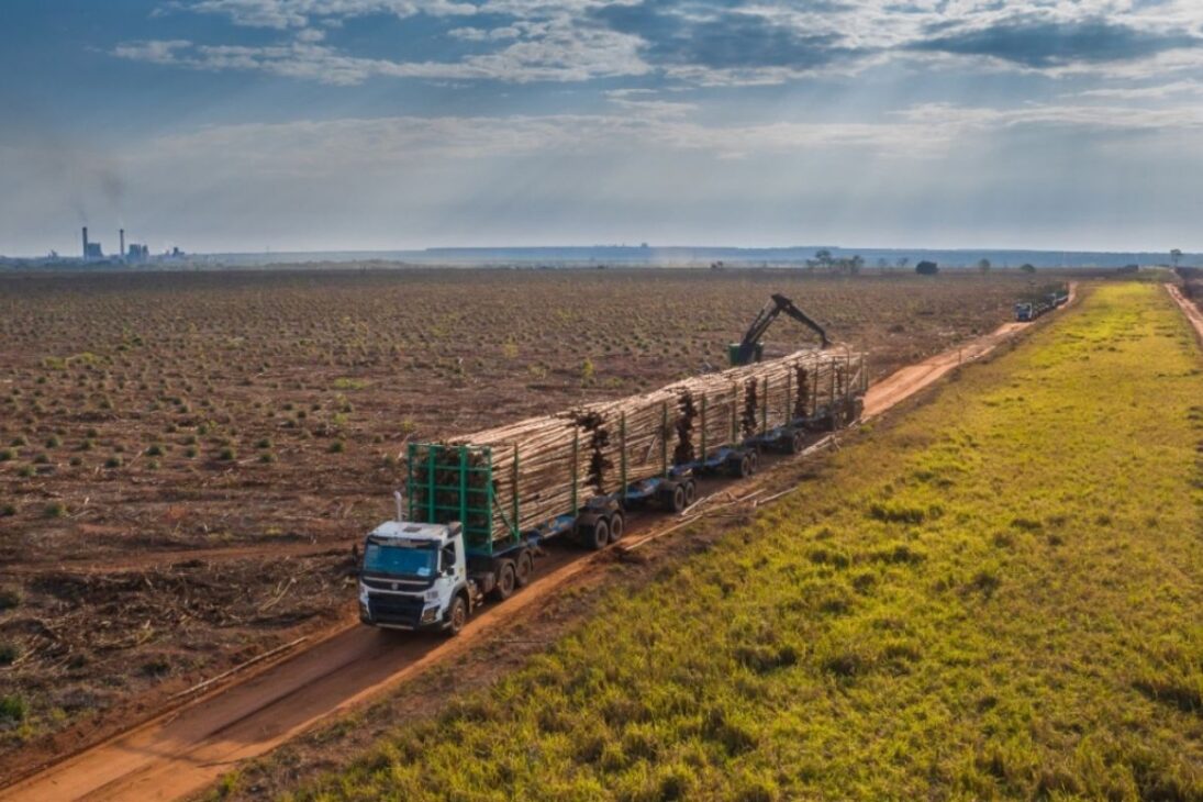 Maior caminhão do Brasil não circula em rodovias: Hexatrem de 52 metros roda apenas em áreas privadas carregando até 200 toneladas