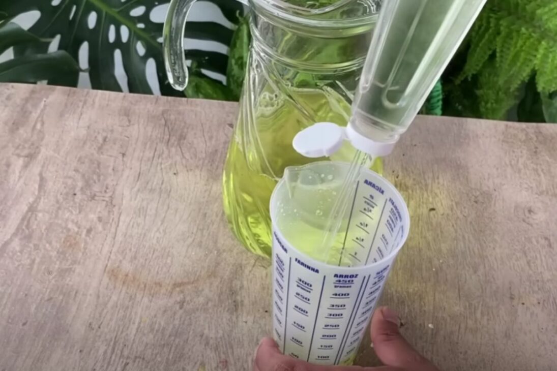 Mistura simples de vinagre, detergente e água mata cupins em até 10 segundos e evita estragos em casa ou jardim