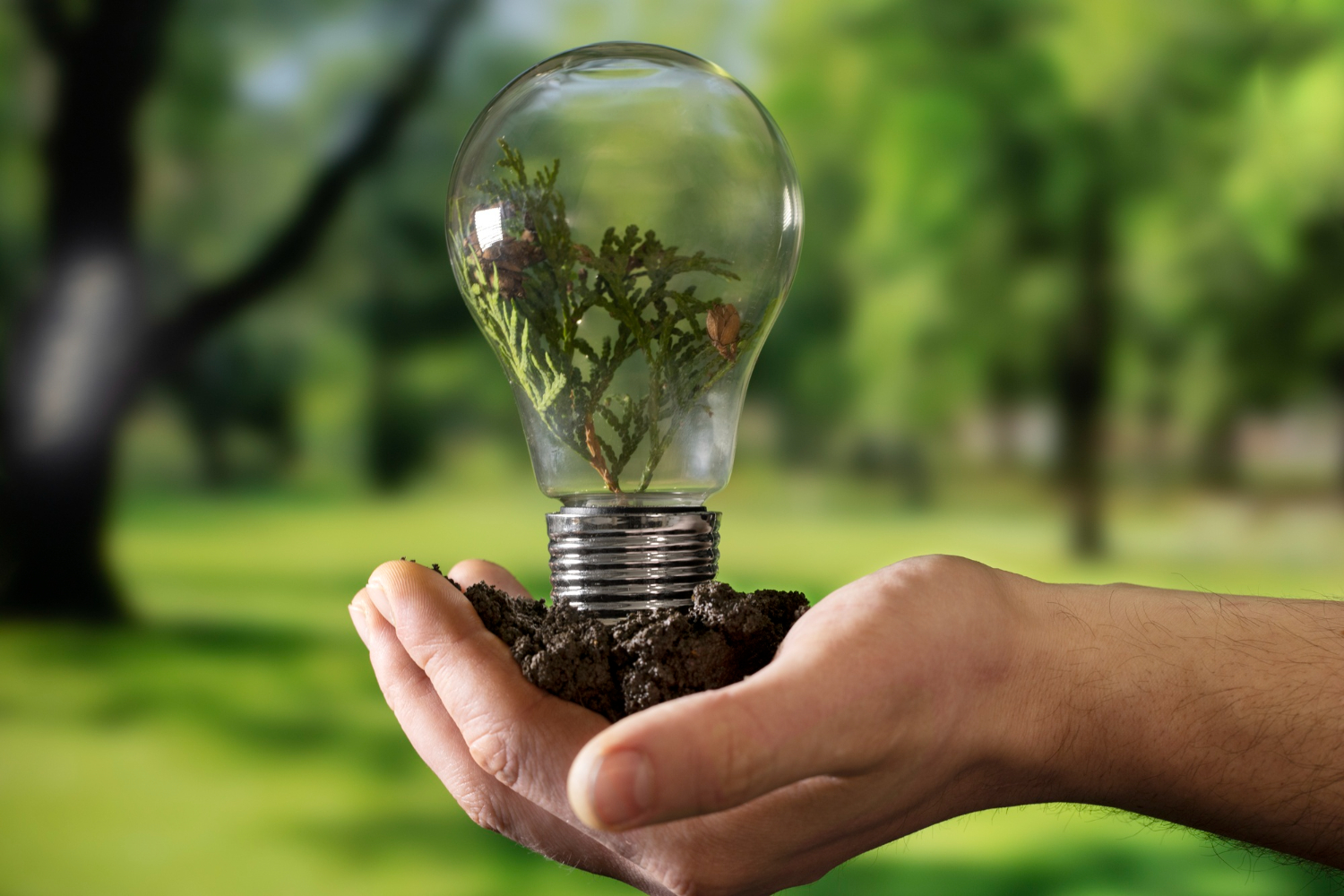 As novas edificações no Brasil passam a seguir índices mínimos de eficiência energética definidos pelo Comitê Gestor, com prazos para prédios públicos, residenciais e comerciais