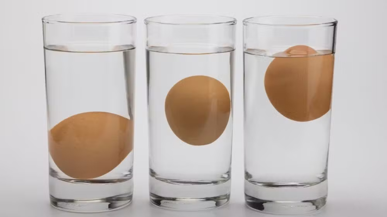 Saiba como conservar ovos na geladeira de forma segura e prolongar sua durabilidade. Confira dicas de armazenamento, testes de frescor e cuidados com ovos crus e cozidos.