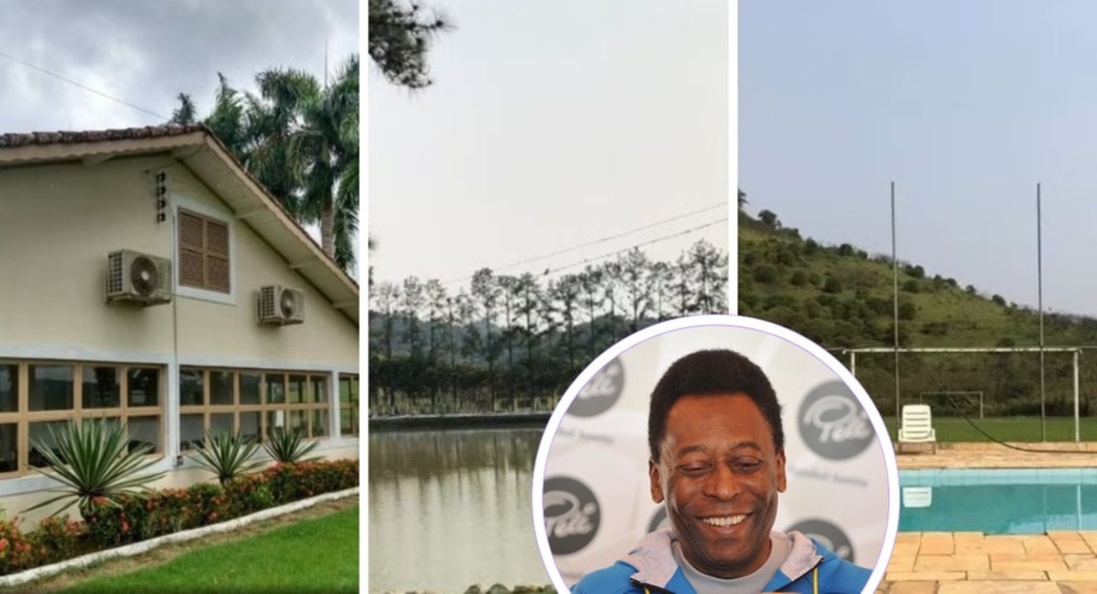 Rei Pelé, Fazenda, Gado, Fazenda do Rei Pelé