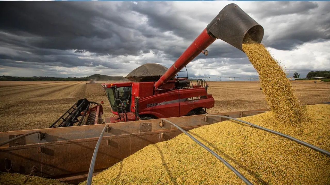 O IBGE divulgou que a safra agrícola de 2024 gerou R$ 783 bilhões em valor de produção no Brasil. Saiba quais culturas se destacaram e como o setor impacta a economia.