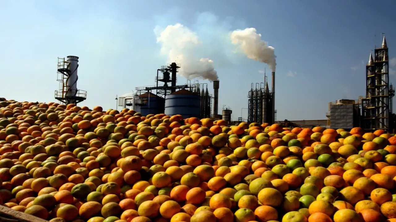 Limeira, não é só a 'capital da laranja': além de líder na produção da fruta, a cidade de São Paulo ainda brilha nas joias e na história da coxinha.