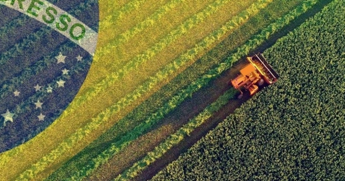Brasil conquista 415 aberturas de mercado no agro desde 2023, com foco em sementes e bovinos vivos para Ásia e África.