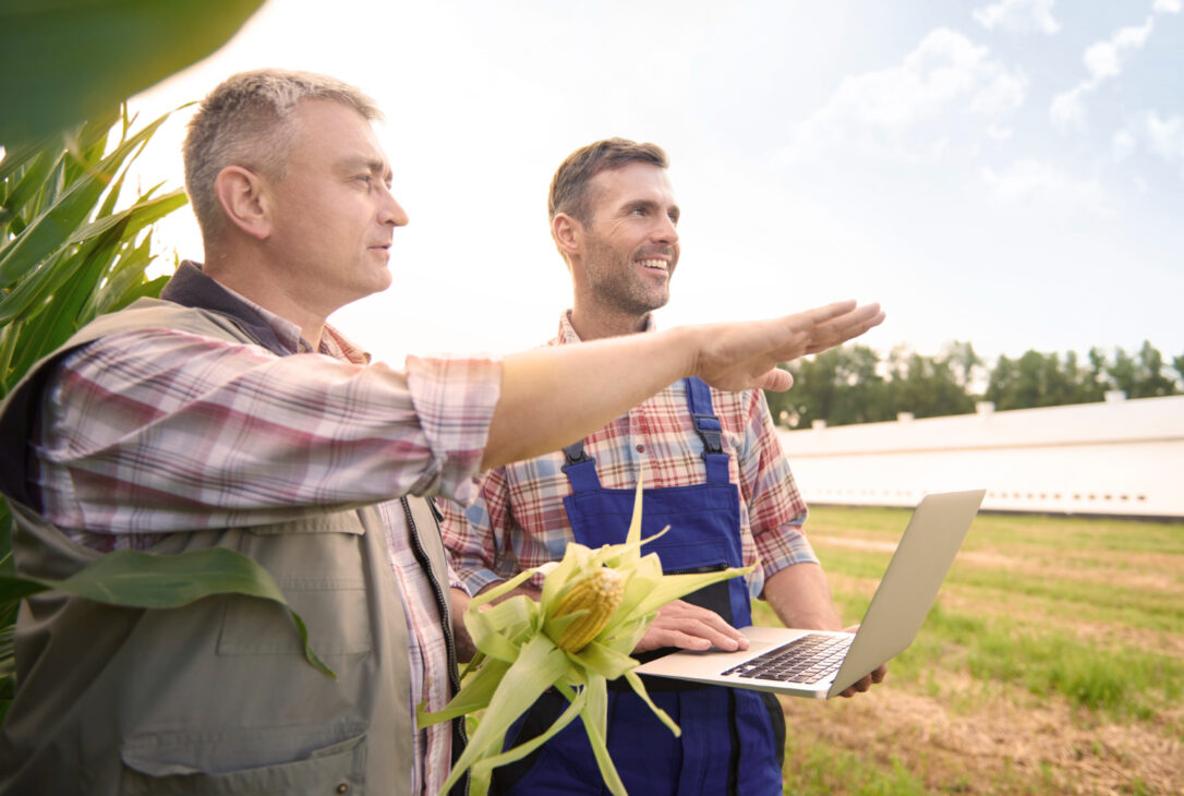 As linhas Bioinsumos e Solo Mais apoiam agricultura sustentável, irrigação, insumos regenerativos e cooperativas Sicoob, Sicredi e Cresol. Crédito flexível, apoio técnico e incentivo à sustentabilidade no campo mineiro. 