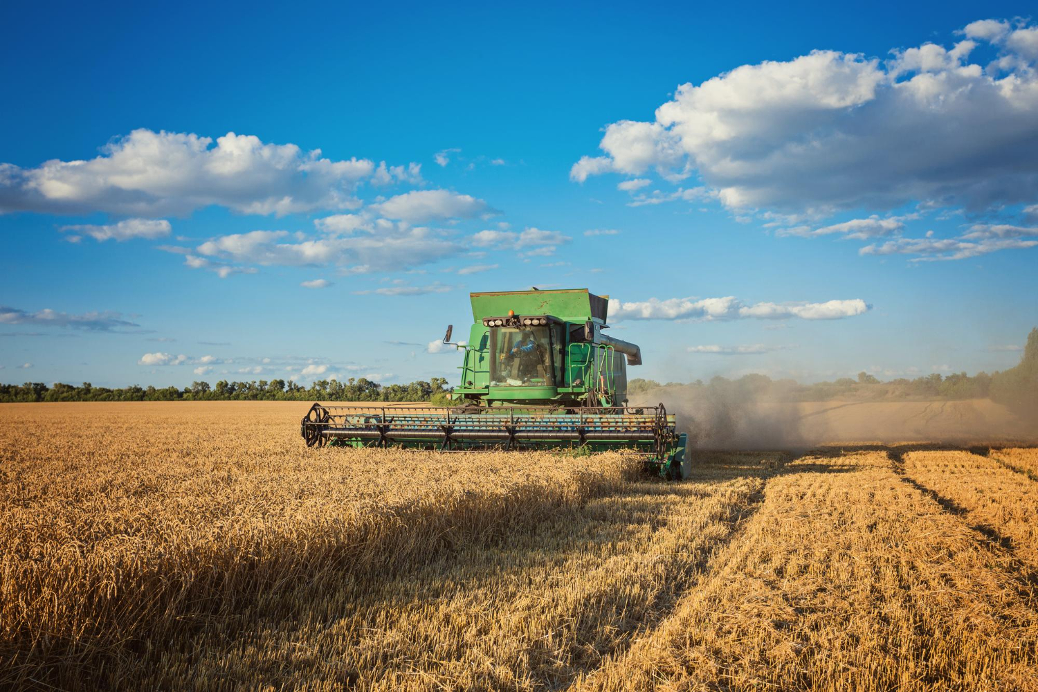 A produção do agronegócio no Brasil foi impulsionada pela produção de soja, milho, café, cana-de-açúcar e pecuária