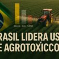 Brasil consome 10,9 kg de agrotóxicos por hectare e supera Estados Unidos e China segundo dados da FAO