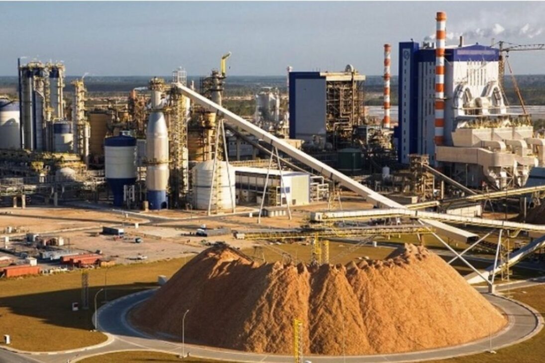 A Suzano opera no Maranhão a maior fábrica de celulose de eucalipto do mundo, com 1,5 milhão de toneladas por ano